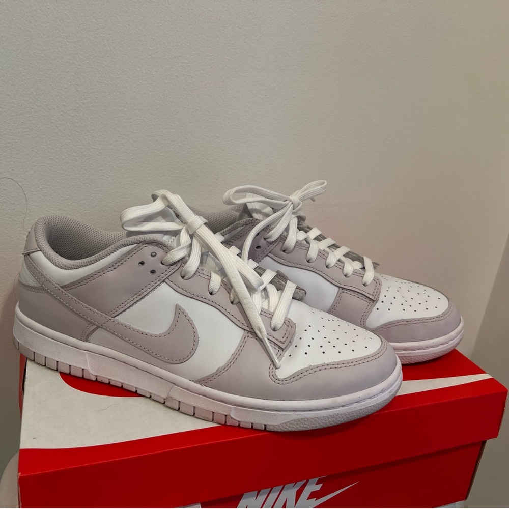 Venice Dunk Lows